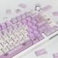 Blueberry Juice 104+27 Cherry Profile Keycap Set Cherry MX PBT Dye-subbed for Mechanical Gaming Keyboard